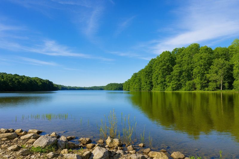 Garage Lift Repair in Burke, VA